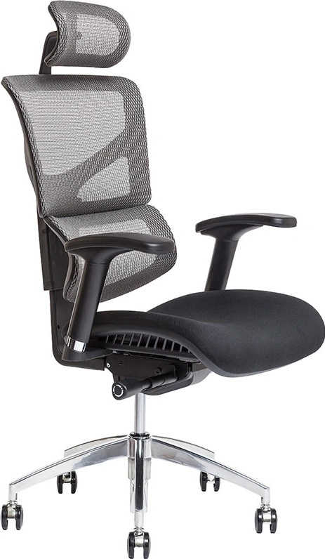 Office Pro Merope SP